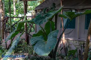 Mwanza Lake view Farm & Eco Lodge - Image 3