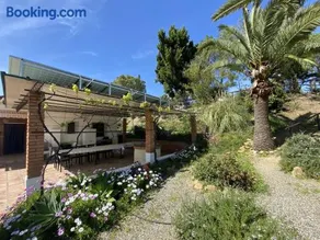 LAS PALMERAS - Image 4