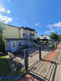 Seestern - Image 1