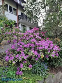 Ferienwohnung Waldblick - Image 1