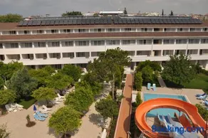 Catty Cats Garden Hotel - Image 5