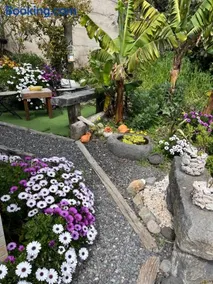Tropical House - Image 4