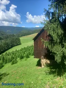 Ferienhaus Hölzl - Image 2