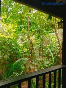 Enchanted Jungle Treehouse - Image 5