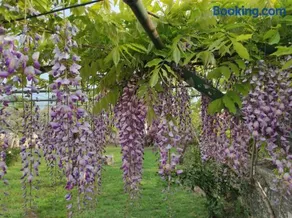 Casa vacanza con giardino - Image 3