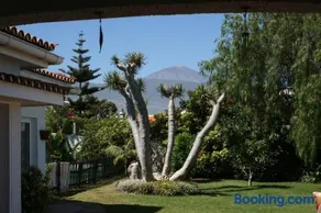 Villa Dragos - Image 2
