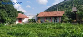 Aalamaram Farm - Image 2