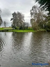 De Weideblom - Image 5