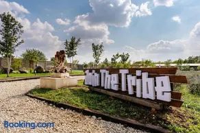 The Tribe Alpaca Retreat - Image 2
