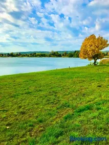 Tóparti Kuckó - Image 2