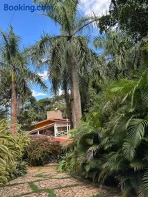Flor da Serra - Image 2