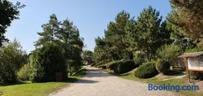 Sárberki Horgásztó - Image 3