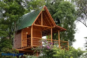 Casa na Árvore - Image 1