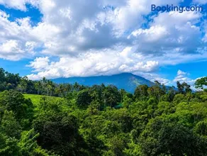 Uforia Munnar - Image 3