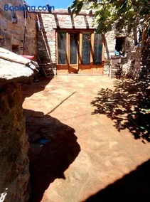 The Wise Olive Tree - Image 2