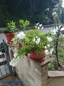 Biancaneve - Image 2