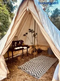 Eco- regenerative bell tent with a pool - near Piódão - Image 2