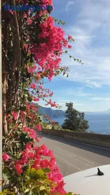 Casa Amalfitana - Image 3