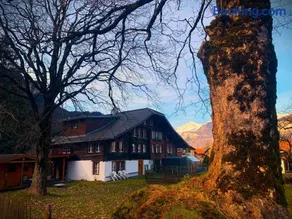 Haus Balm - Image 1