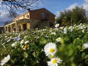 Golden Valley apartment & ranch - Image 5