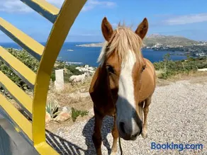 VILLA NOVA Leros - Image 2