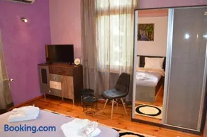Guest House Secession Style - Image 3