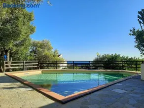 Limone - Image 1