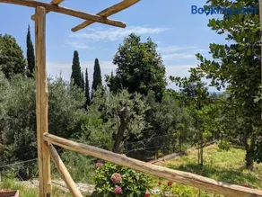 Daria's Home - Image 3