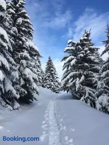 La Perle Des Alpes C2 - Image 2