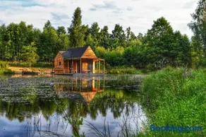 heather hut, off-grid cottage on a pond+2 ha - Image 1