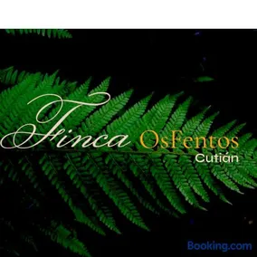 Os Fentos - Image 4