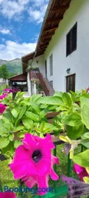 Apartma pr' Ivani Miškorinovi - Image 3