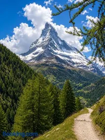 Matterhorn Alpine Lodge - Familie und Sport - Image 2