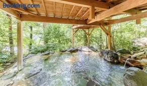 Room only -Classic Nikko ryokan with natural hot springs - Image 2