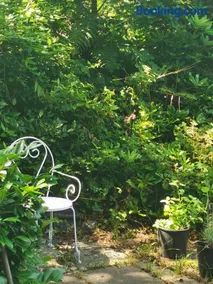 PEACEFUL RETREAT HIDEAWAY SURREY - Image 2