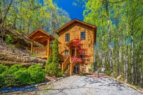 PERMANENT VACATION-Private Honeymoon Cabin with Hot Tub - Image 2