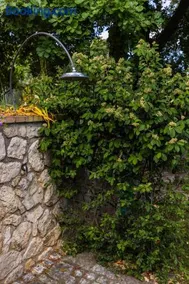 Villa Privata con Giardino e Piscina - Image 4
