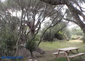 Les bergeries d'Ogliastrello - Image 2