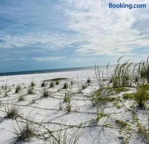 A Shore Delight - Image 2