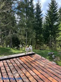 ~Chalet_Rifugio tra i boschi~ - Image 2