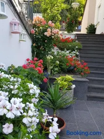 Gartenstudio Anila - Image 3