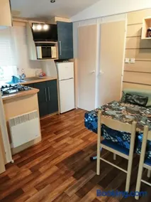 Mobil home 5 pers proche d'Europa Park E020 - Image 1