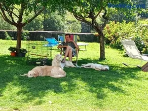 Il Giardino dell'Eden - Image 3