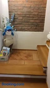 Il Delfino a Bologna - Image 2