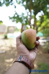Chandrachhaya Agro Farms Boisar - Image 3