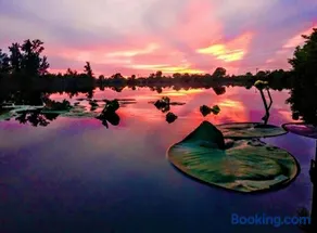 Cape Coral Wildlife Views-Heated Pool-Pet Friendly - Image 5