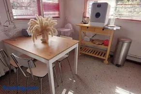Pin Pon d'Or, petite maison proche de la plage - Image 3