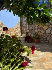 La Casa del Pueblo con piscina y barbacoa - Image 4