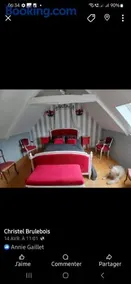 suite nature huelgoat - Image 1
