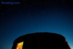 Yurt Ash tree - Image 5